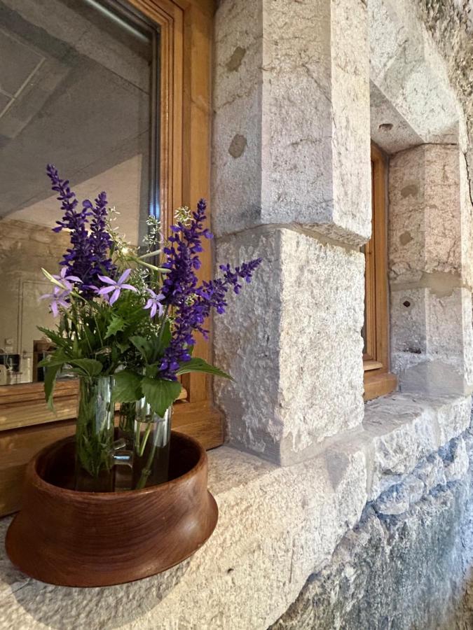 Domaine Cysaril - 4 Etoiles * Talissieu